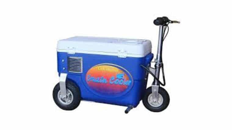Crusin Cooler 33cc 2-stroke Motor | Rental Crusin Cooler 33cc 2-stroke Motor | Rental