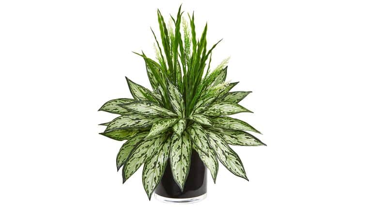 Silver Queen and Grass Artificial Plant in Black Vase | Rental