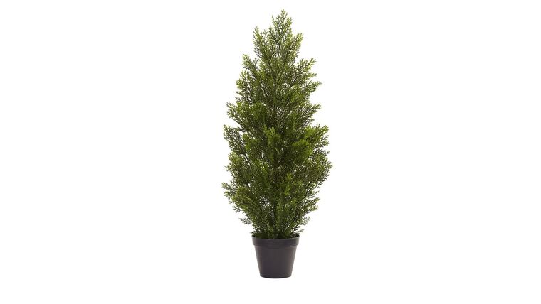 3′ Cedar Tree Silk Tree (In-door/Out-door) | Rental 3′ Cedar Tree Silk Tree (In-door/Out-door) | Rental