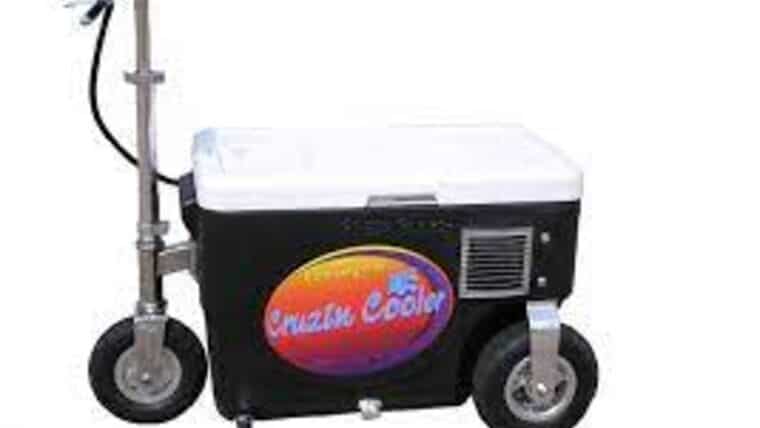 Cruisin Cooler 300 Watt Electric | Rental Cruisin Cooler 300 Watt Electric | Rental