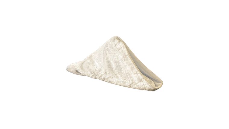 Velvet 20″x 20″ Napkin – Ivory | Rental