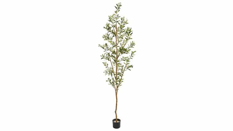 82” Artificial Olive Tree | Rental