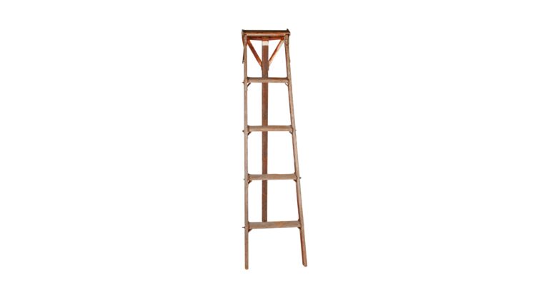 Ladder Natural Fruit Picking – 5′ Fruit | Rental