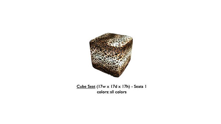 Cube Seat – Leopard | Rental