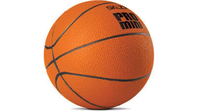 7″ Mini Basketball | Rental 7″ Mini Basketball | Rental
