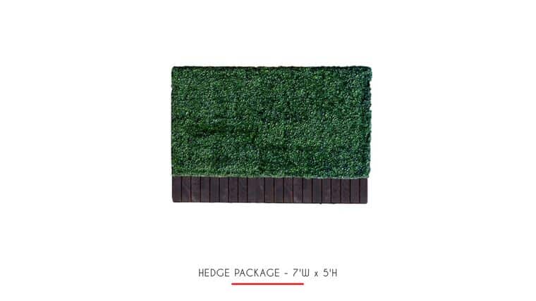 4’h x 6’w Boxwood Hedge With Planter | Rental