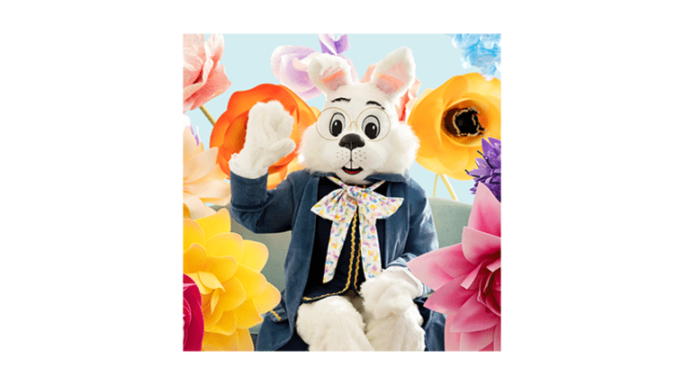 Easter Bunny Visit | Rental