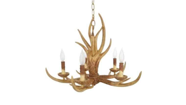 5 Light Hanging Natural Antler Chandelier | Rental 5 Light Hanging Natural Antler Chandelier | Rental
