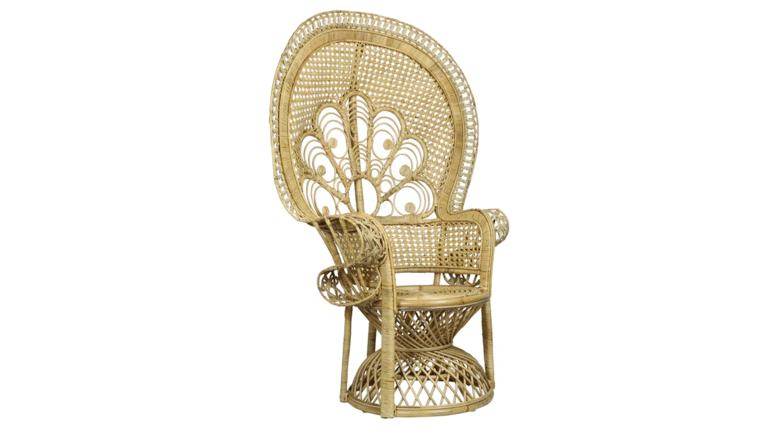 Lollipop Peacock Chair | Rental