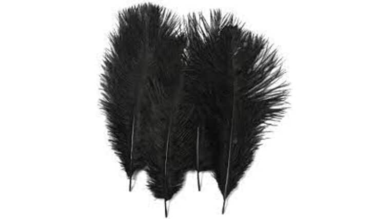 12″ – 14″ Black Ostrich Feather | Rental
