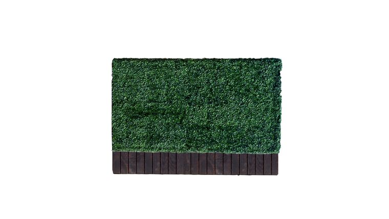 3’h x 6’w Boxwood Hedge With Planter | Rental