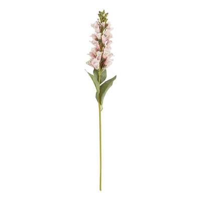 FL920 Foxglove Stem | Rental FL920 Foxglove Stem | Rental