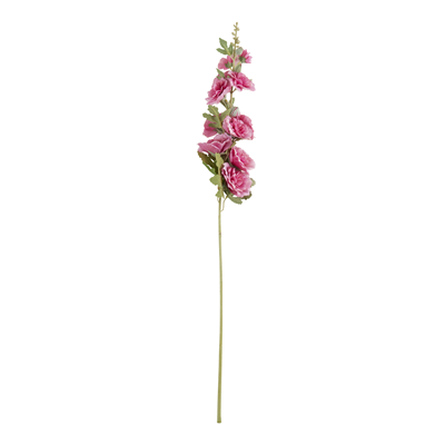 FL923 Hollyhock Stem | Rental FL923 Hollyhock Stem | Rental