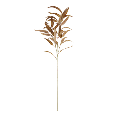 FL924 Eucalyptus Stem | Rental FL924 Eucalyptus Stem | Rental