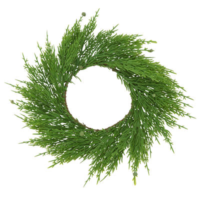 WR032 Capsicum Wreath | Rental WR032 Capsicum Wreath | Rental