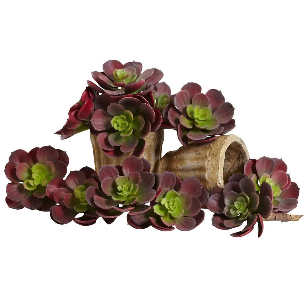 6” Artificial Echeveria Succulent (Set of 12) | Rental