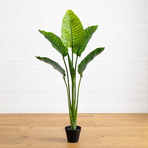 64” Travelers Palm Tree UV Resistant (Indoor/Outdoor) | Rental
