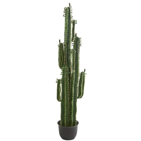 6.5’ Cactus Artificial Plant | Rental