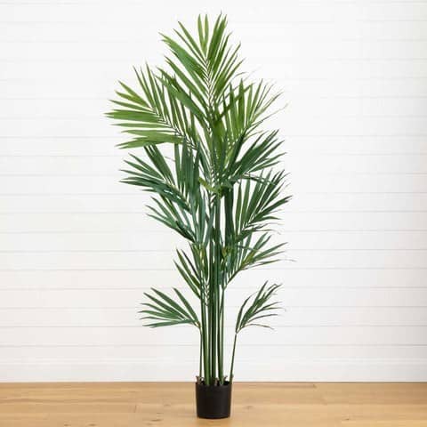 7′ Artificial Kentia Palm Silk Tree | Rental