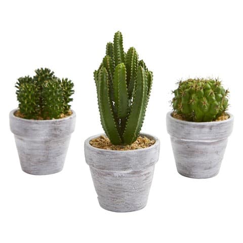 8” Cactus Artificial Plant (Set of 3) | Rental