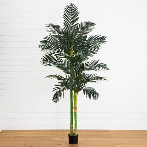 8′ Golden Cane Palm Silk Tree | Rental