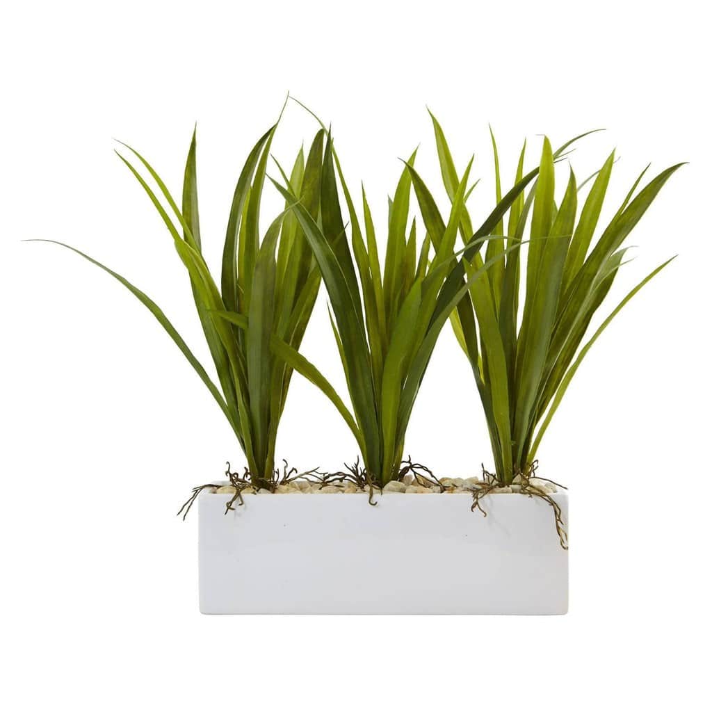 Grass in Rectangular Planter | Rental