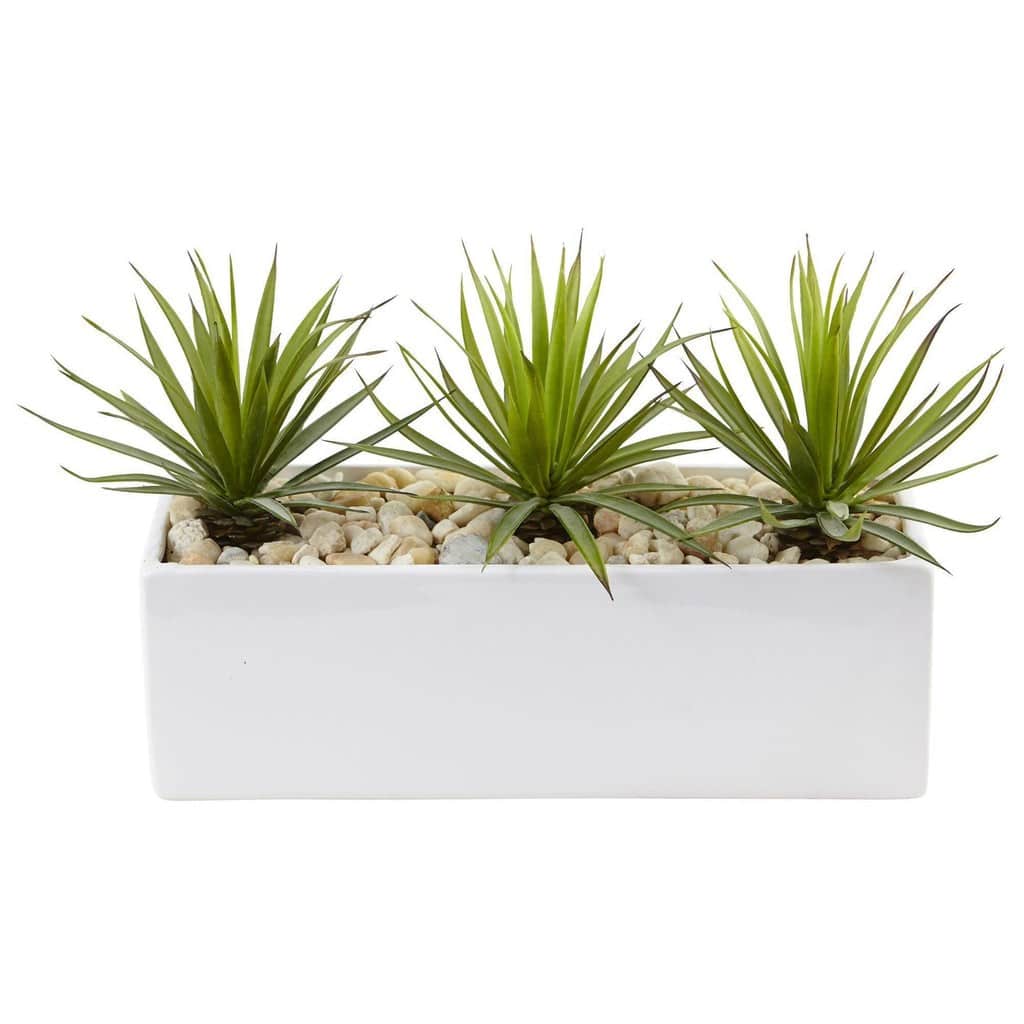 Mini Agave in Rectangular Ceramic | Rental