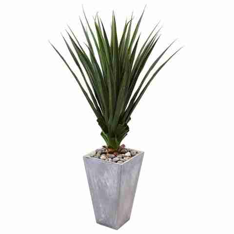 Spiked Agave in Cement Planter (Indoor/Outdoor) | Rental