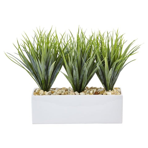 Vanilla Grass in Rectangular Planter | Rental