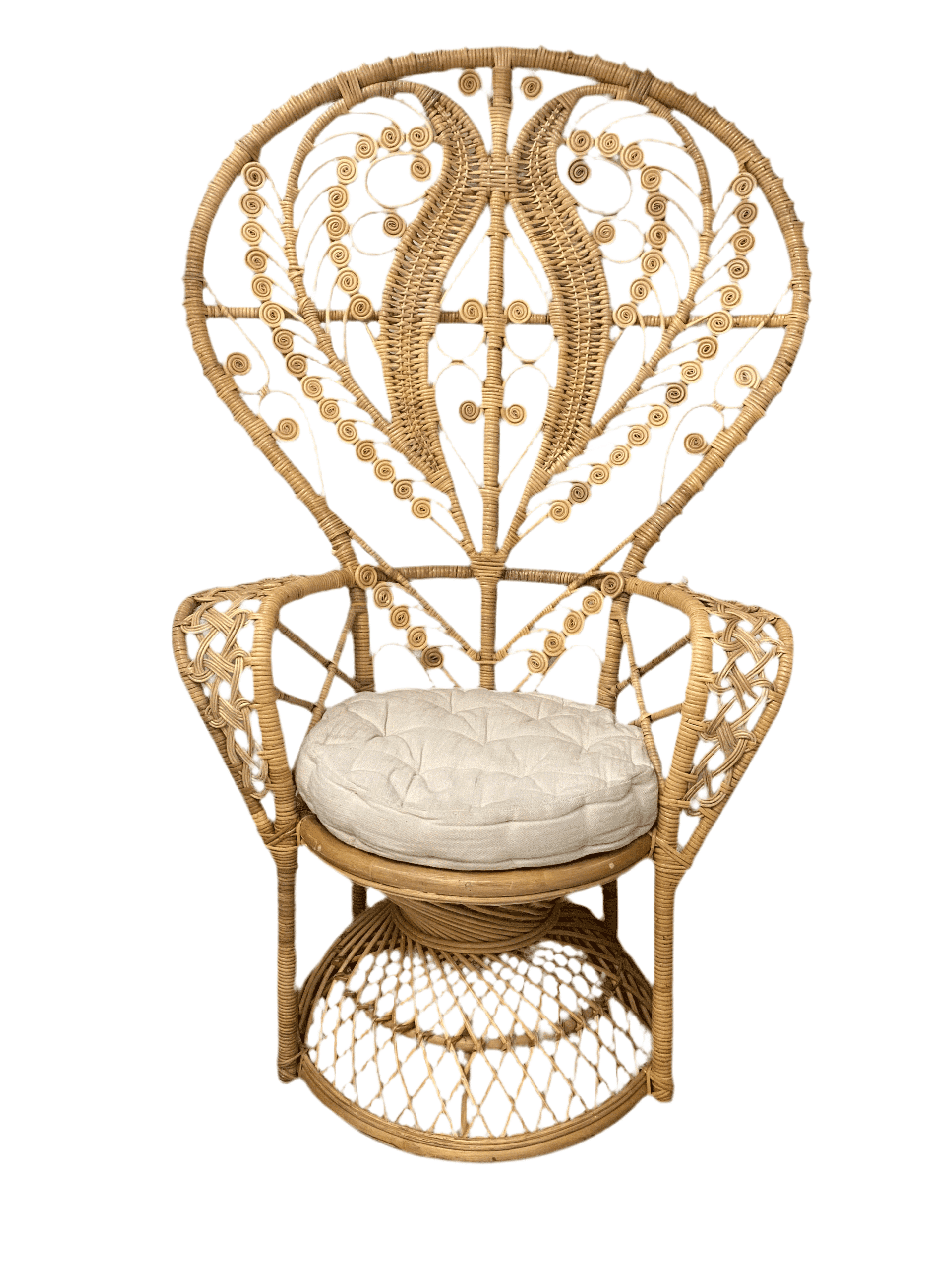 Adult Non-Feather Whimsical Peacock Chair | Rental