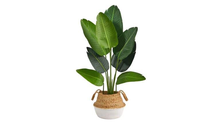4’ Travelers Palm Artificial Tree in Boho Chic Handmade Cotton & Jute White Woven Planter | Rental