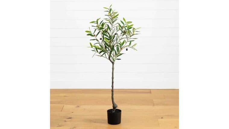 4’ Lighted Artificial Olive Tree with 240 Warm White LED Lights | Rental