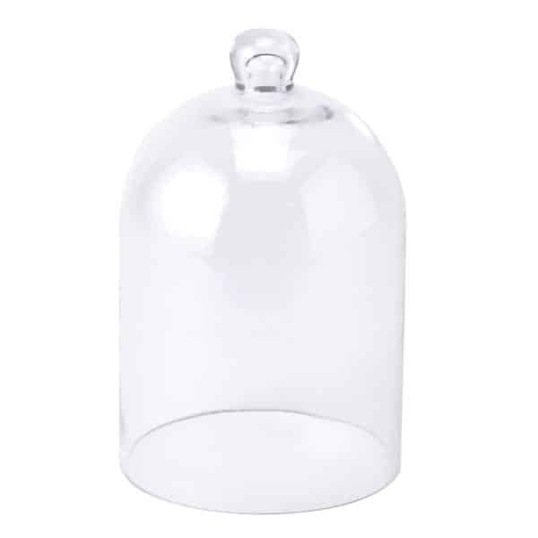 Decostar™ Glass Dome Cover | Rental Decostar™ Glass Dome Cover | Rental