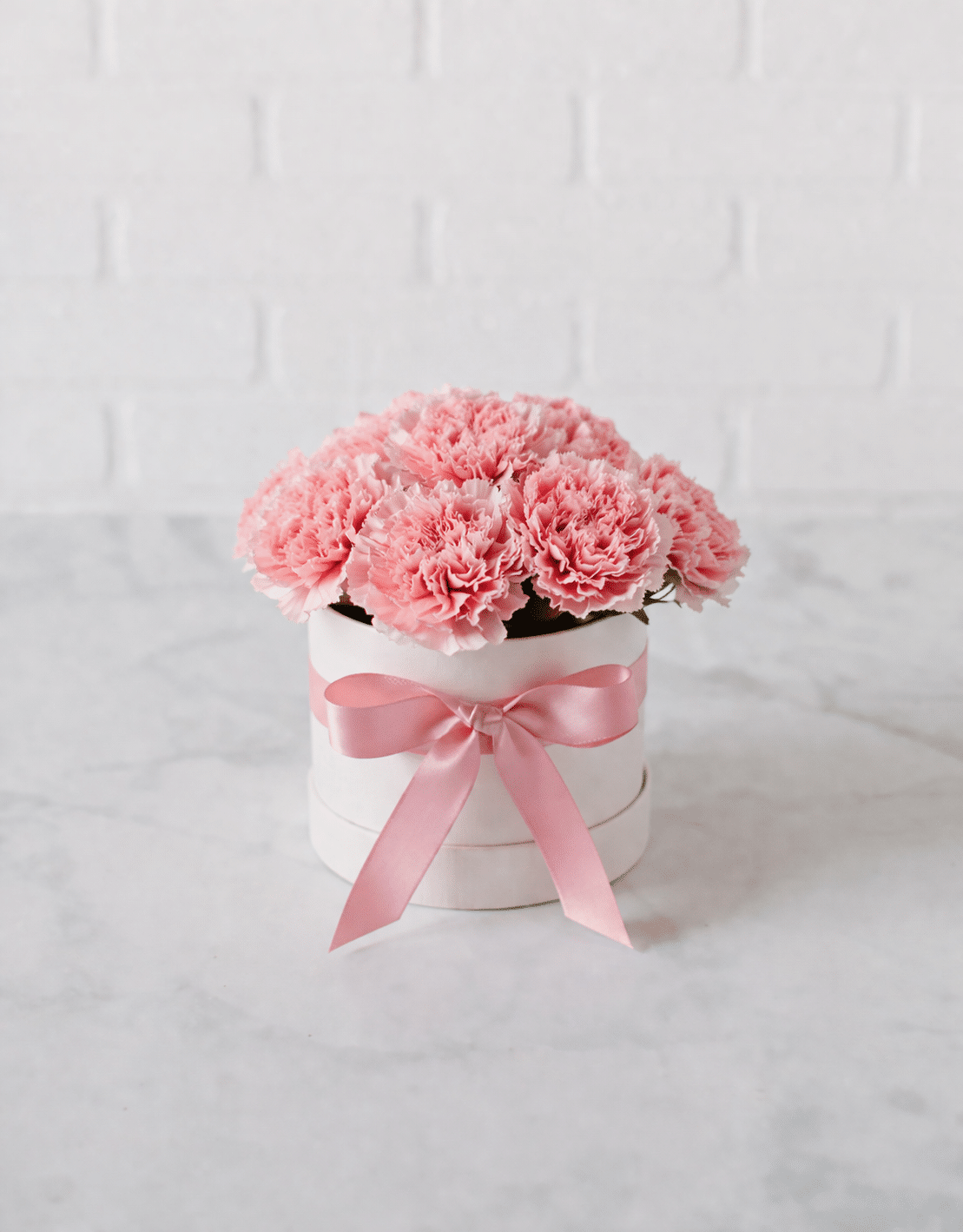 Carnations Bloom Box | Purchase