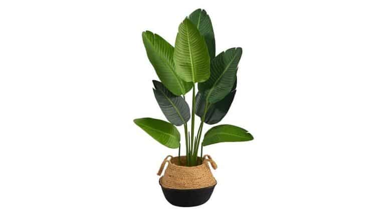 4’ Travelers Palm Artificial Tree in Boho Chic Handmade Cotton & Jute Black Woven Planter | Rental