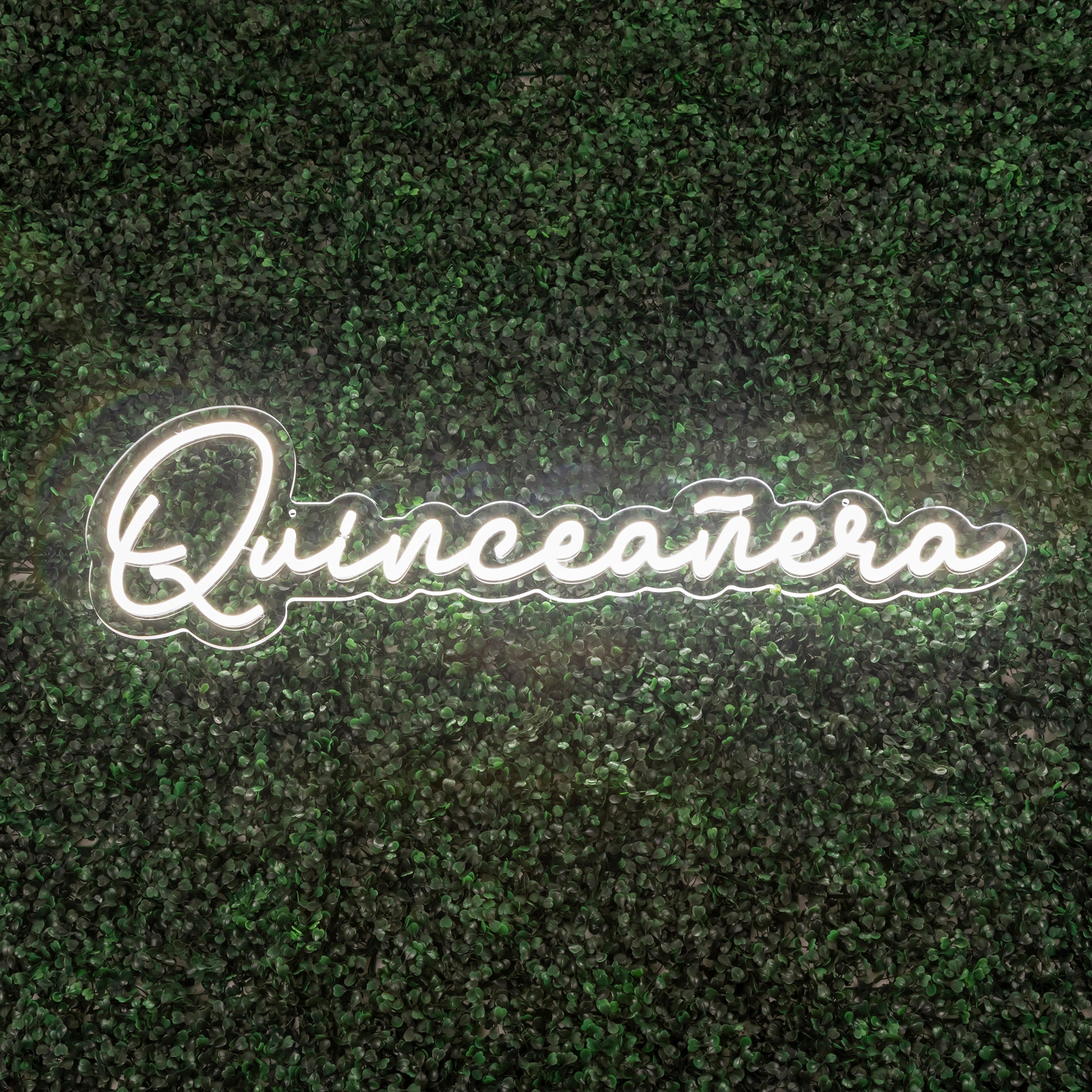 Quinceanera LED Neon Sign | Rental Quinceanera LED Neon Sign | Rental