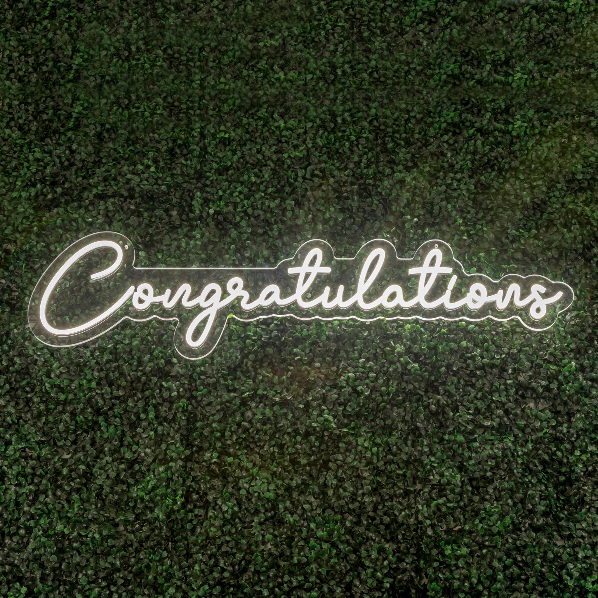 Congratulations LED Neon Sign | Rental Congratulations LED Neon Sign | Rental